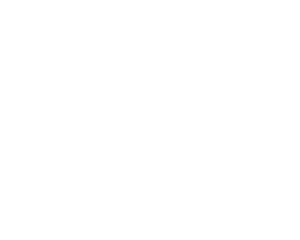 SNK & Associates Logo Designs_White_SNK_Logo