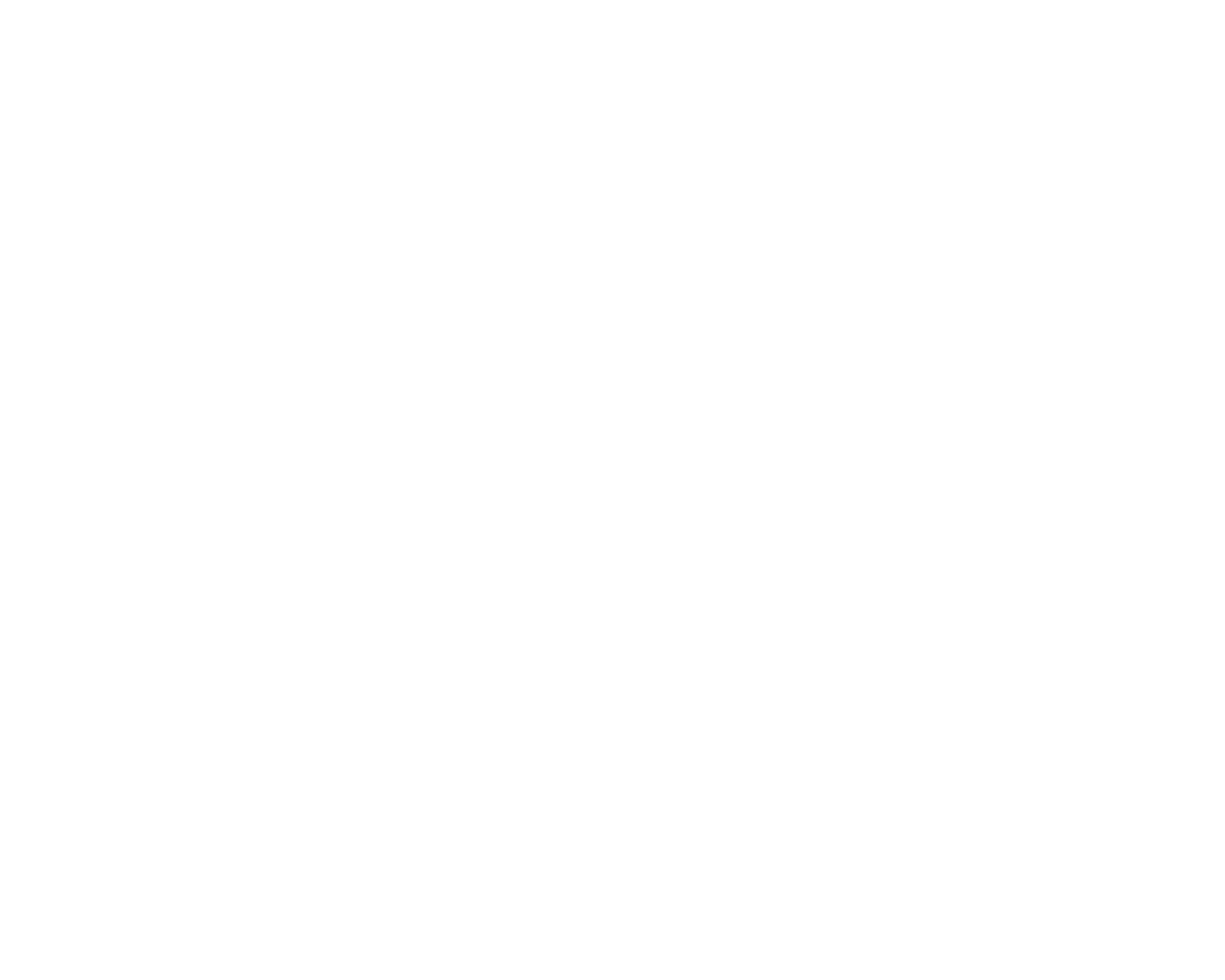 SNK & Associates Logo Designs_White_SNK_Logo